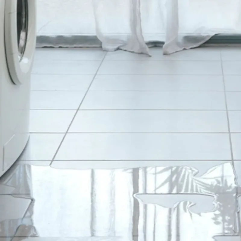 Appliance Leak Cleanup in Shelby, AL