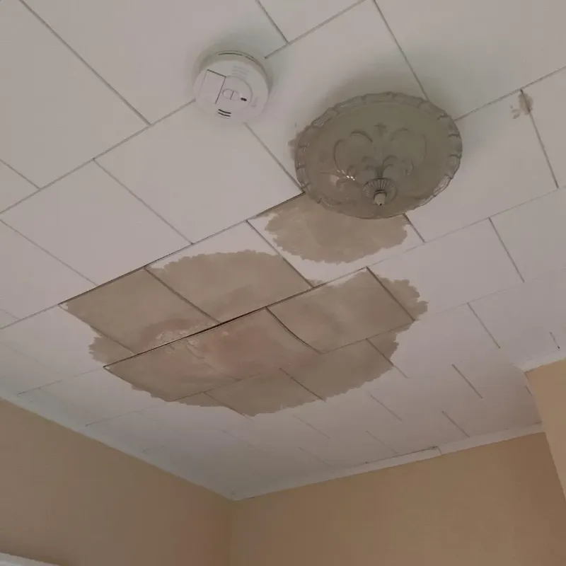 Ceiling Water Damage Repair in Shelby, AL