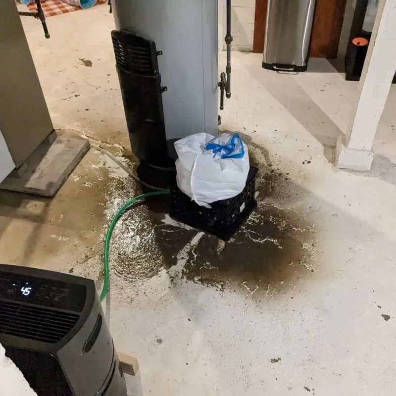 Sewage Backup Cleanup Service in Shelby, AL